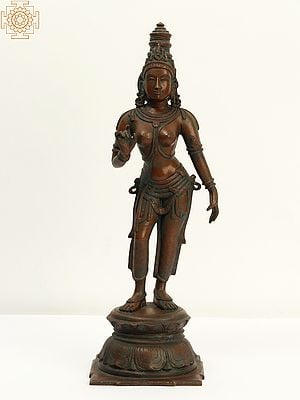 16" Superfine Standing Devi Uma (Goddess Parvati) | Bronze Statue