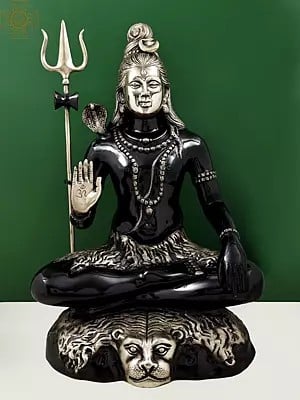 22" Shiva Engaged in Penance: Yoga-Dakshina-Murti Shiva In Brass | Handmade | Made In India