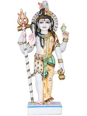 Ardhanarishvara (Shiva Shakti)
