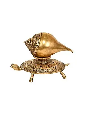 7" Conch on Tortoise In Brass | Handmade | Made In India