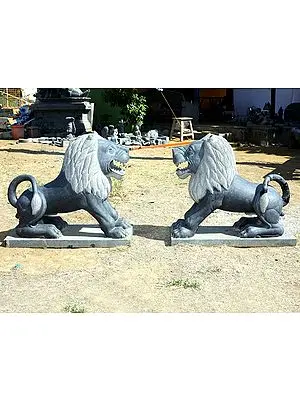 32" Large Lion Pair Statue | (Shipped by Sea Overseas)