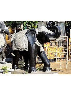 93" Large Elephant Pair | (Shipped by Sea Overseas)