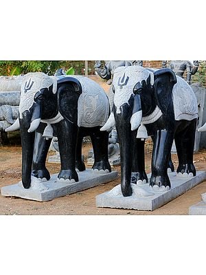 69" Large Pair of Elephant | (Shipped by Sea Overseas)