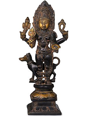 11" Lord Shiva as Bhairava Statue in Brass | Handmade | Made in India