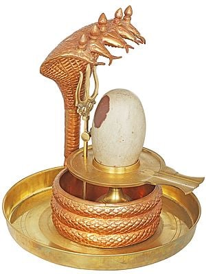 Shiva Linga Abhisheka Set