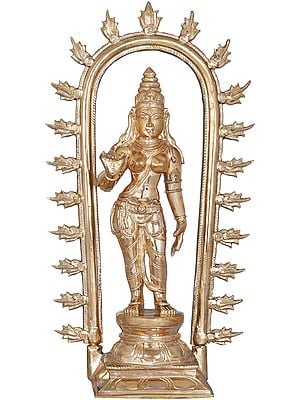 The Resplendence Of Devi Uma Within The Prabhavali