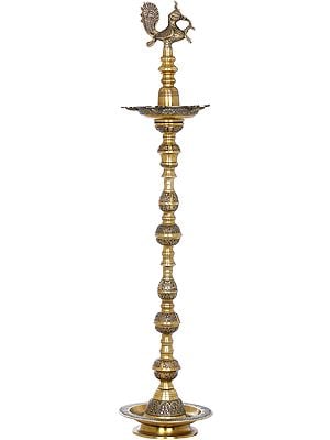 56" Large Size Peacock Lamp In Brass | Handmade | Made In India