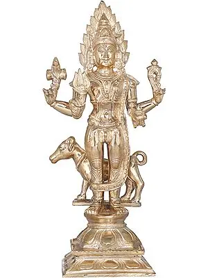 Bhairava - The Fierce Incarnation of Lord Shiva