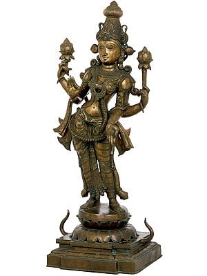 Padmavati Shri Devi, Devi Lotus-Lakshmi