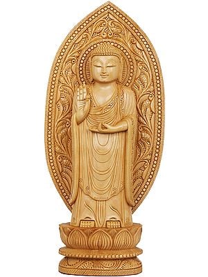 Tibetan Buddhist Standing Lord Buddha