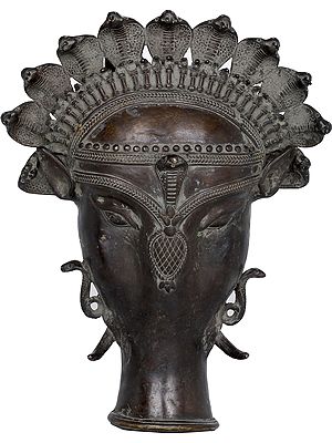 Varaha Mask Wearing Serpents Crown (The Boar Inacrnation Of Lord Vishnu)