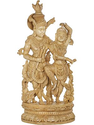 The Rhythm of Passion and Love