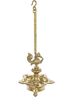 11" Fine Peacock Ceiling Lamp in Brass | Handmade | Made in India