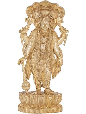Gorgeously Draped Lord Vishnu, Canopied By Sheshanaga