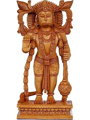 Standing Hanuman in Ashirwad Mudra