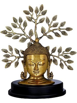 Lord Buddha Mask On a Wooden Base and Tree as a Backdrop
