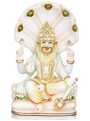 Narasimha - The Lion Faced Vishnu Avatar