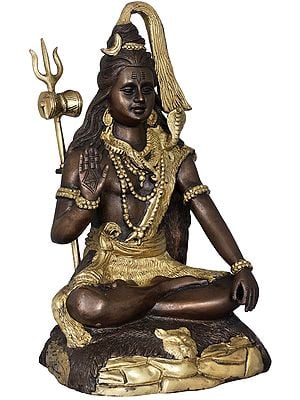 13" Bhagawan Shiva In Brass | Handmade | Made In India