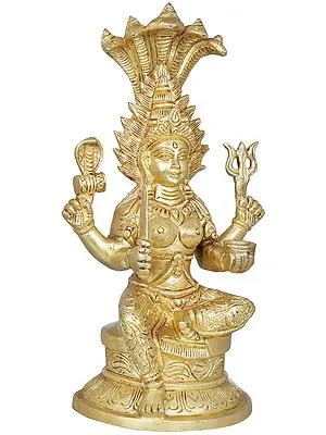 10" Mariamman - Goddess Durga of South India In Brass | Handmade | Made In India
