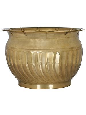 Brass Planter | Planters for Indoor Plants