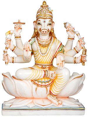 Goddess Varahi