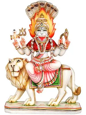 Atharvana Bhadrakali, The Presiding Deity of Atharvaveda (Goddess Pratyangira)