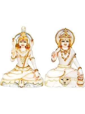 Blessing Shiva Parvati
