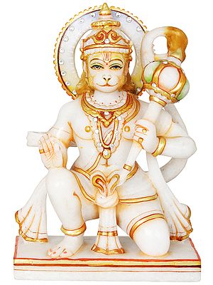 Blessing Veer Hanuman