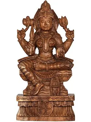 Goddess Mariamman (South Indian Durga)