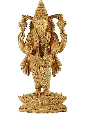 Lord Vishnu Standing on Lotus Holding a Kalash