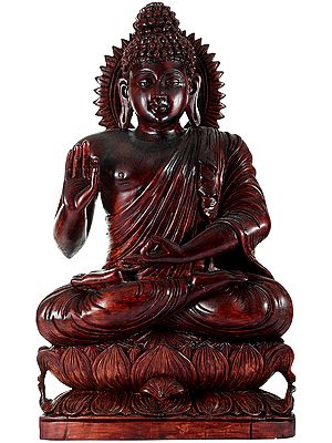 Tibetan Preaching Buddha Perched on a Lotus