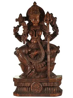 Goddess Durga of South India - Mariamman