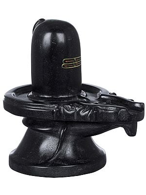 Buy from a vast collection of Holy Shiva Lingas Only at Exotic India