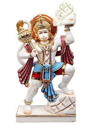Lord Hanuman Carrying The Sanjeevni Herb