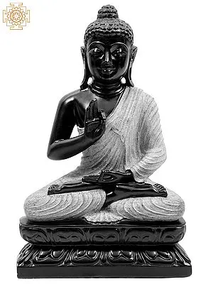 Bitone Dharmachakra Buddha In A Textured, White Robe