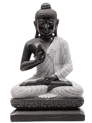 Seated Buddha In Strikingly Contrasting Colours