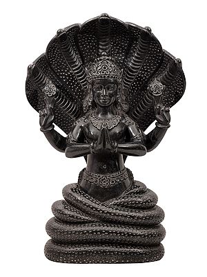 Sage Patanjali in Namaskara Mudra