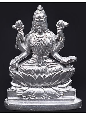 Lakshmi Ji Mercury Statue | Goddess Lakshmi Sculptures