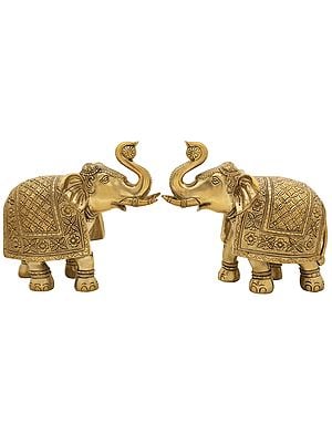 Royal Elephant Pair