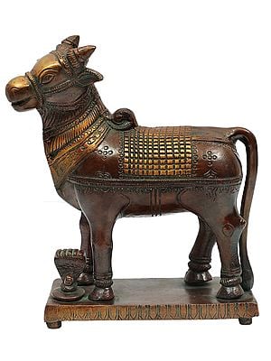 5" Standing Auspicious Nandi Sculpture in Brass | Made in India