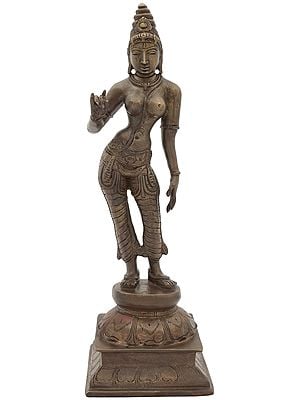 12" Standing Apsara In Brass | Handmade | Made In India