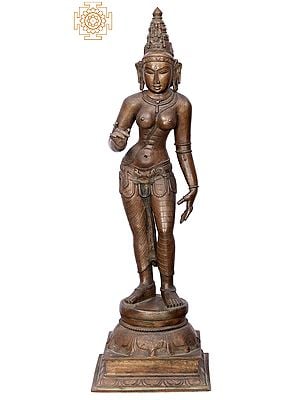 24" Standing Devi Parvati  | Handmade | Madhuchista Vidhana (Lost-Wax) | Panchaloha Bronze from Swamimalai