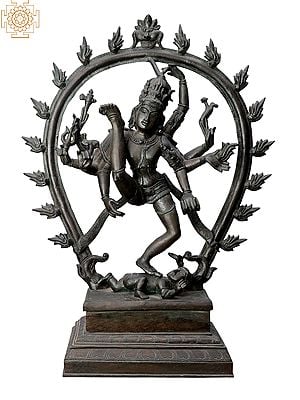 20" Nataraja| Handmade | Madhuchista Vidhana (Lost-Wax) | Panchaloha Bronze from Swamimalai