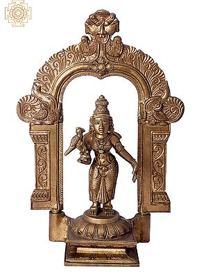 12" Devi Meenakshi With Arch | Handmade | Madhuchista Vidhana (Lost-Wax) | Panchaloha Bronze from Swamimalai