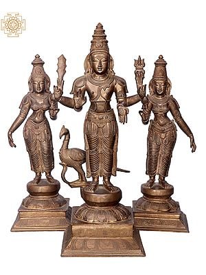 24" Lord Karttikeya With Devasena And Valli | Handmade | Madhuchista Vidhana (Lost-Wax) | Panchaloha Bronze from Swamimalai