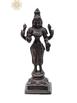 5.8" Goddess Lakshmi Statue | Handmade |  Lakshmi Brass Statue | Goddess of Money | Made in India