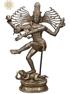 57" Dancing Shiva Nataraja Brass Statue | Large Shiva Tandava Idols | Handmade | Made In India
