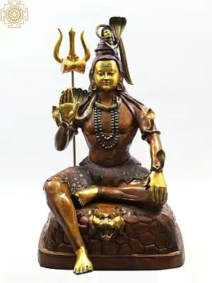 Buy Eternal Lord Shiva Statues Only at Exotic India