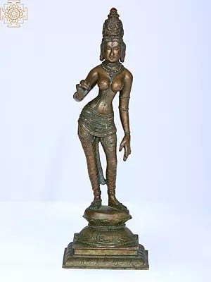 12" Devi Sivagami (Goddess Uma) | Madhuchista Vidhana (Lost-Wax) | Panchaloha Bronze from Swamimalai