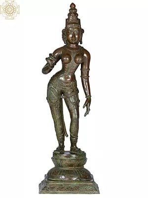 23" Devi Parvati (Goddess Uma) | Madhuchista Vidhana (Lost-Wax) | Panchaloha Bronze from Swamimalai